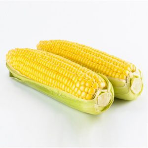 sweet corn 1379