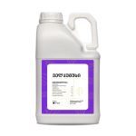 ველჰუმუსი