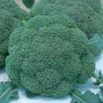 ბარო სტარი