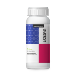 ბრენდონი