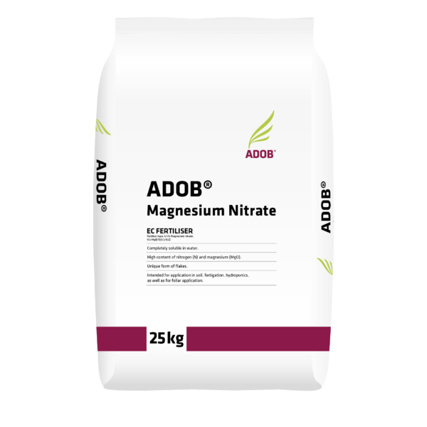 მაგნიუმის ნიტრატი მაგნიუმის ნიტრატი