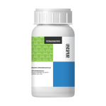 მისტერი