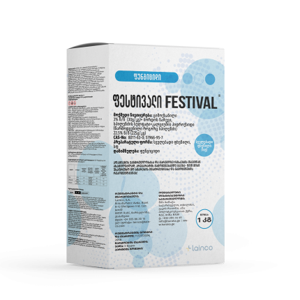 ფესტივალი