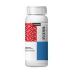 როკ ენ როლი