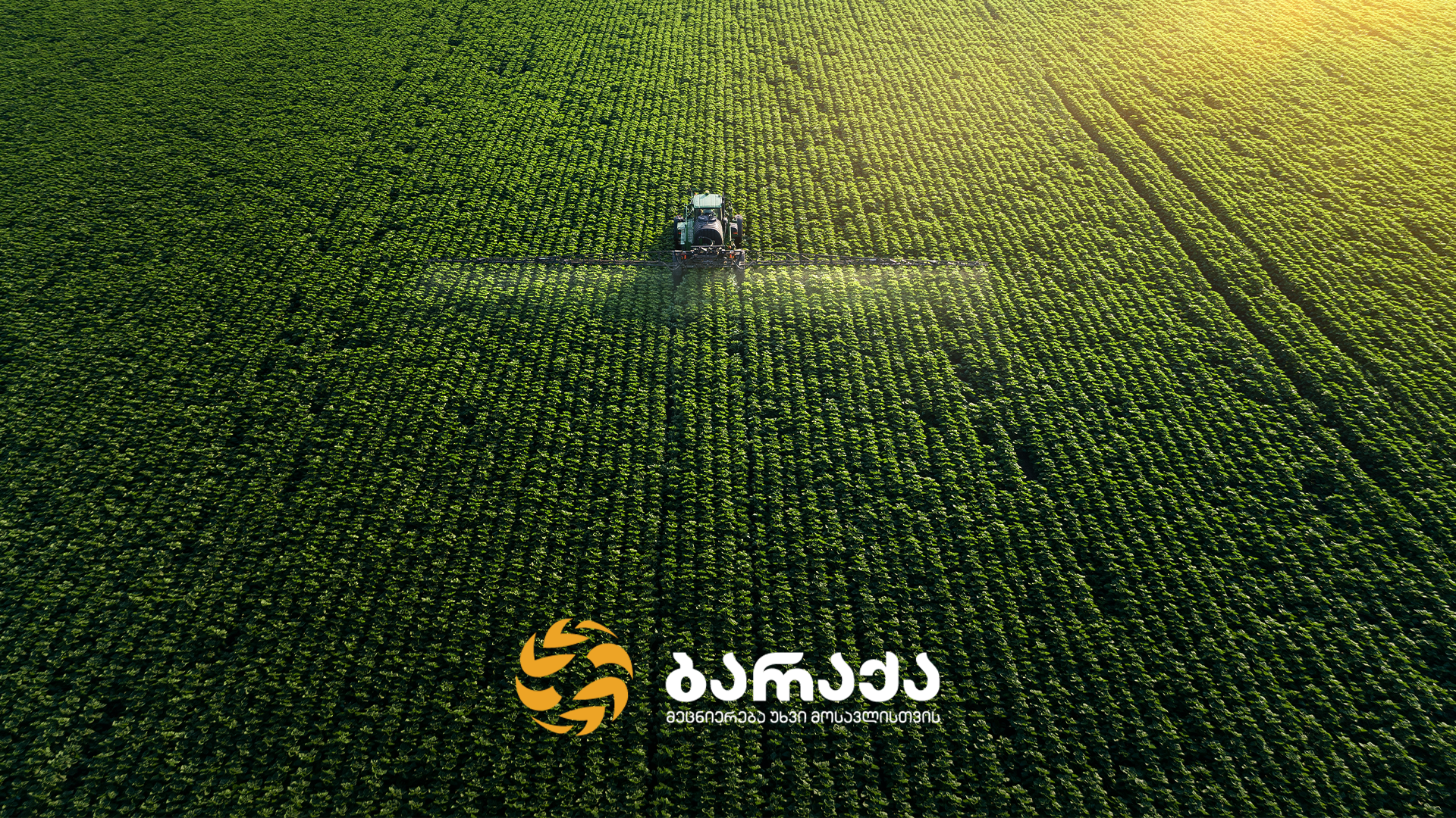 სასოფლო-სამეურნეო