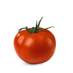 მოტრილი F1