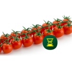 ფედელე F1