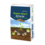 სუპერ სტარტი