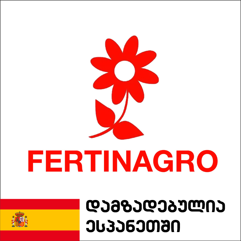 მთავარი
