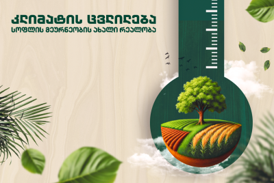 მთავარი 20 მთავარი