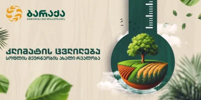 მთავარი 20 კლიმატის ცვლილება: სოფლის მეურნეობის ახალი რეალობა