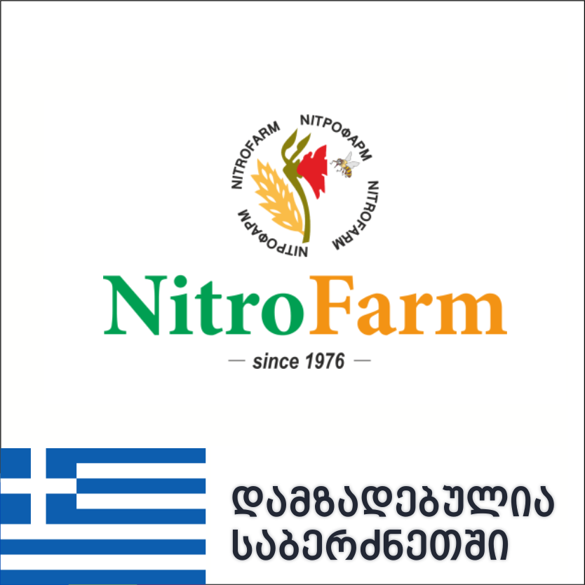მთავარი