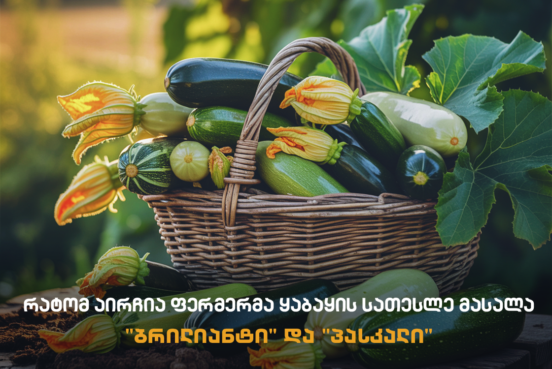 ბრილიანტი და პასკალი