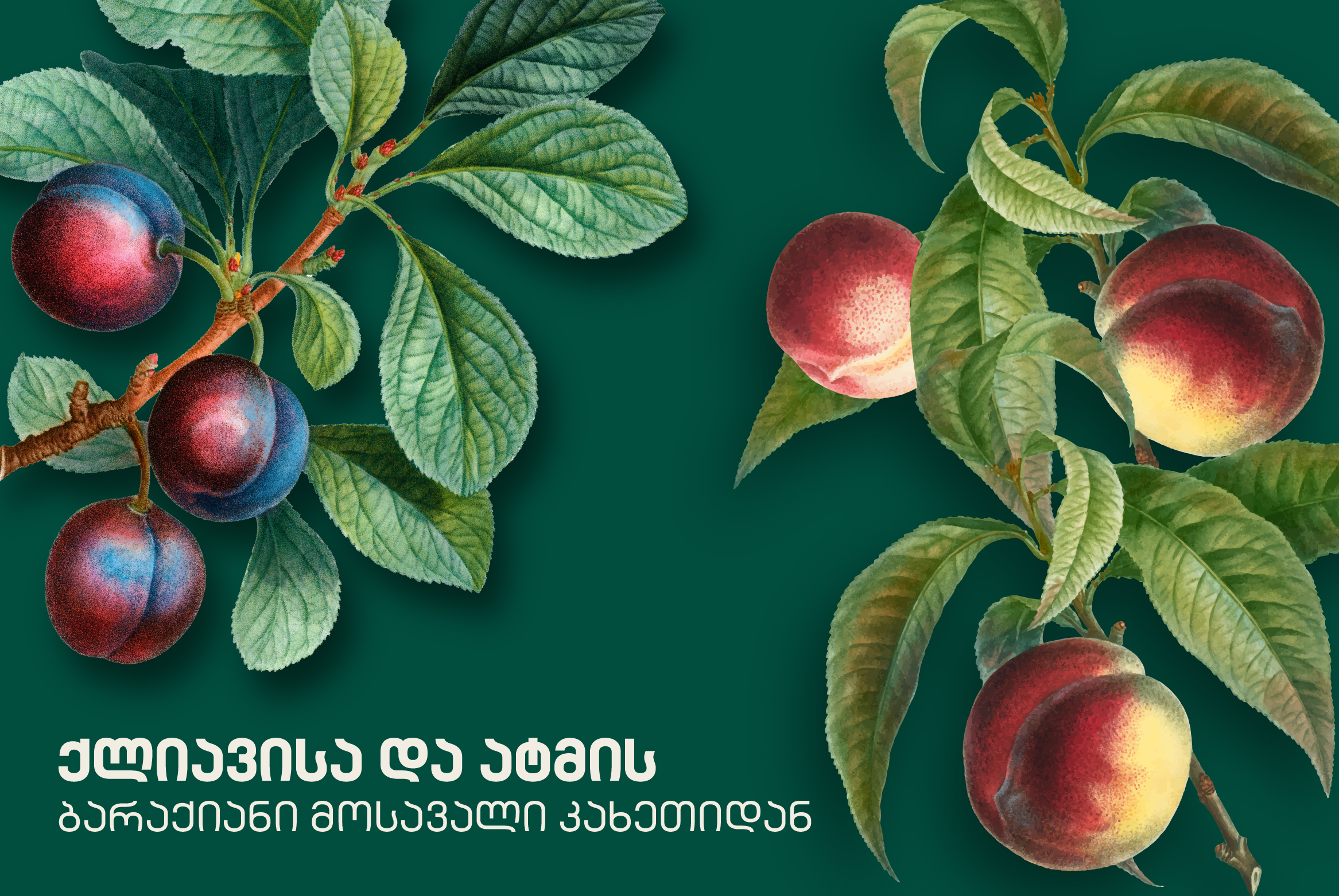 ქლიავი, ატამი, მოსავალი