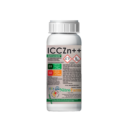 ICCZn++