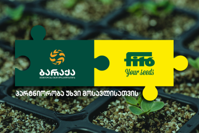 მთავარი