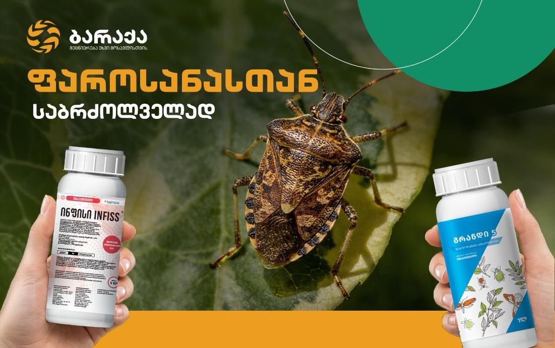 აზიური ფაროსანა: როგორ დავიცვათ მოსავალი და ბრძოლის ეფექტური მეთოდები